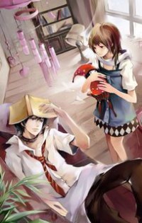 一品女镖师:王爷要入赘