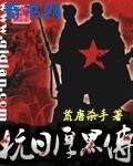 抗日厚黑傳